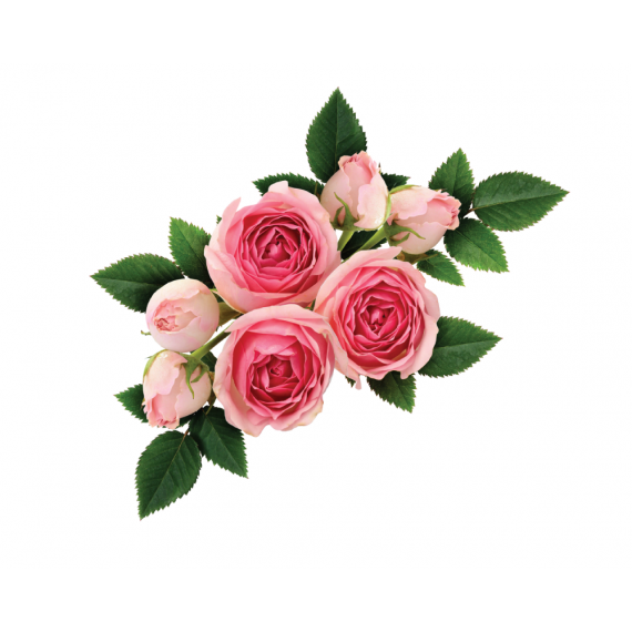 Lynia, Hydrolat z 100% kwiatów bułgarskiej róży damasceńskiej, 100 g