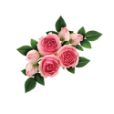 Lynia, Hydrolat z 100% kwiatów bułgarskiej róży damasceńskiej, 100 g