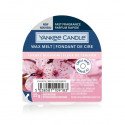 Yankee Candle, Nowy wosk zapachowy CHERRY BLOSSOM, 22g