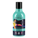 Gift Of Nature, Normalizujący szampon do włosów przetłuszczających się, 300 ml