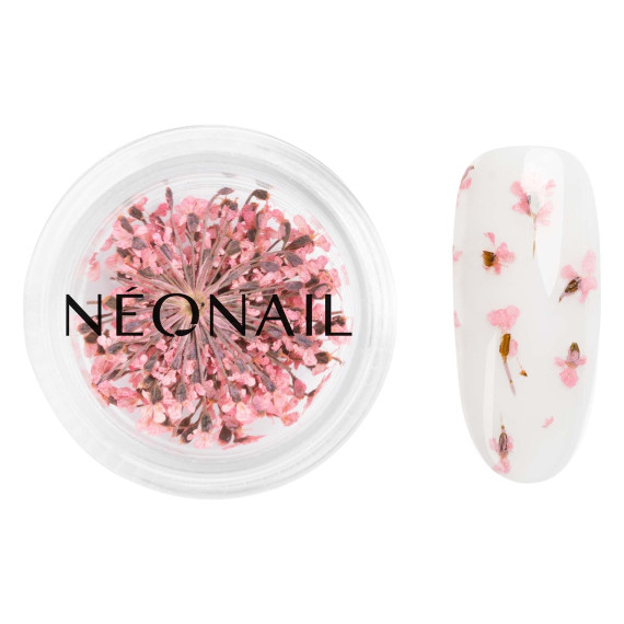 NeoNail, Ozdoba do paznokci, Suszone kwiaty, 01 Pink